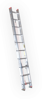 Extension & Straight Ladder