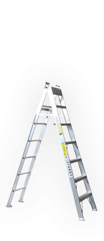 Multiway Ladder